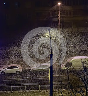 Night, lantern, snow