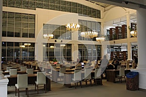 Night and library