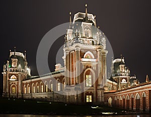 Night lighting castle of museum reserve Tsaritsyno