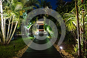 Night lighting in tropical garden.