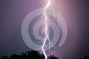 Night lightning over forest