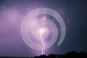 Night lightning over forest