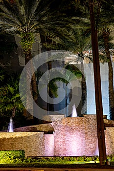 Night long exposure photo of palm trees and water fountain