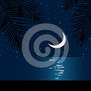 Night moon sea beach palms summer ocean tropical paradise