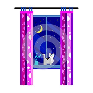 Night moon sky background window vector light illustration cat