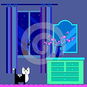 Night moon sky background window vector light illustration cat