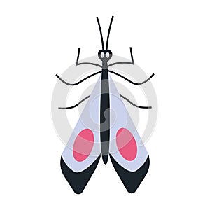 Night moth, insect with wings, cartoon style. Trendy modern vector illustration isolated on white background, hand drawn