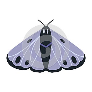 Night moth, insect with wings, cartoon style. Trendy modern vector illustration isolated on white background, hand drawn