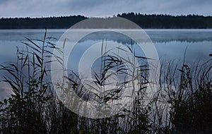 Night mystical landscapes. Milky fog over the lake and its reflection in stagnant water