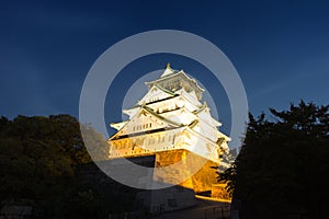 Night with Osaka castle