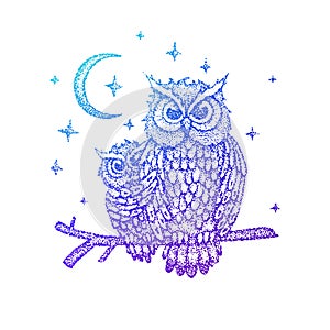 Night Owls Colorful Sketch