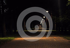 A Night in the Park. Late Wood Benches ,Alley Russia