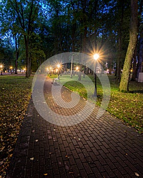 A night park lit by lanterns with a stone pavement, trees, fallen leaves and benches in early autumn