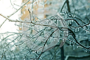 Night photo of blue icycle iced branches