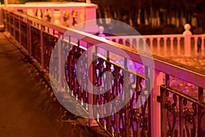 Night photo from the bridge to the pond, the ornate cast-iron railing of the bridge in the foreground