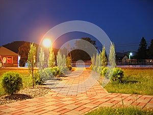 Night photo of a pavement