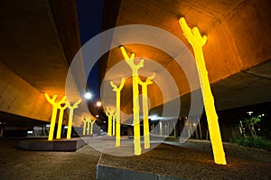 Night photography of artwork `Aspire` trees sculpture gleams bright and gold under the concrete of freeway at Ultimo NSW.