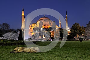 Night photos hagia sophia. istanbul-turkey photo