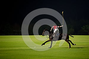 Night Polo