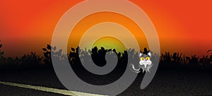 Night road and Cute fluffy cartoon Black cat, highway under the open sky. Morning, evening abstract background. Suburban asphalt