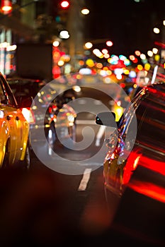 Night road traffic in a big city