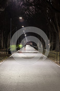 Night Runners Near the Reflecting Pool