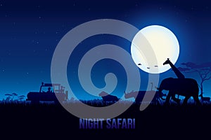 Night Safari