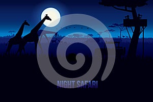 Night Safari