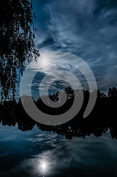 Night scary scene. Full moon above the pond with silhouette of a tree