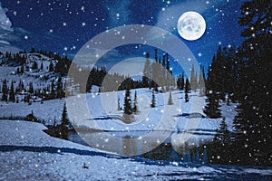 Night Scene with Evergreens Snow and Full Moon