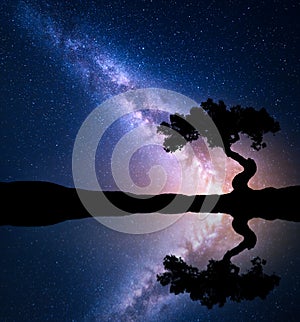 Night scene with Milky Way and old tree