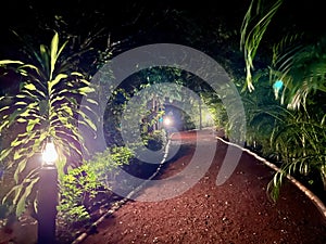 Night scene of a red clay path within the Mexican jungle, surrounded by plants