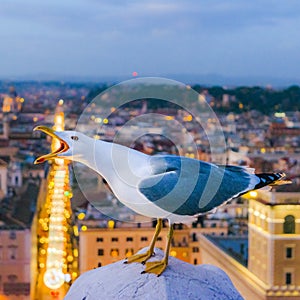 Night Scene Rome Cityscape Aerial View