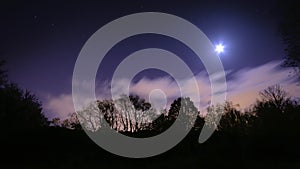 Night scene with tree profiles, clouds and moon