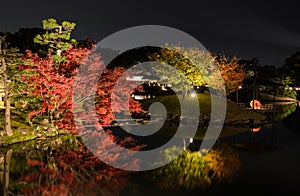 Night scenery of Korakuen garden in Okayama, Japan