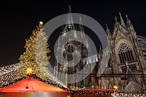 Night scenery and low angle view of huge Christmas tree and Cologne Cathedral during Christmas Market .