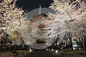 Night scenery of the majestic Five-Story Pagoda surrounded by vibrant Japanese