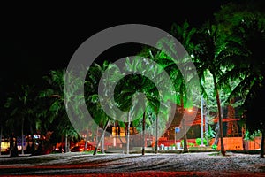 Night seaside promenade. Lit by street lights palm trees on the beach. Long shadows of the trees in light street lighting.