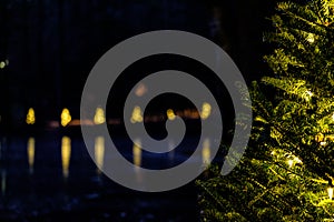 Night shot of a lake surrounded by lights and a pine tree