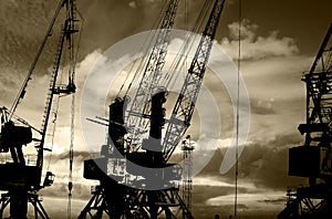 Night silhouettes of cargo cranes in the sea port black & white photo