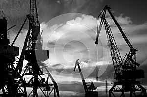 Night silhouettes of cargo cranes in the sea port black & white photo