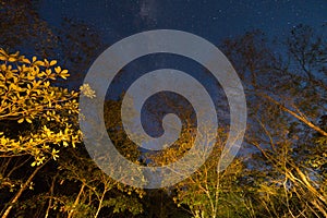 Night sky in Chapada dos Veadeiros, Goias, Brazil