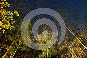 Night sky in Chapada dos Veadeiros, Goias, Brazil