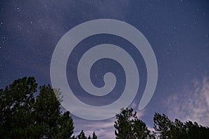 Night sky and clouds above the Bancroft Louisiana forest photo