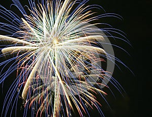 A Night Sky Full of Exploding Fireworks