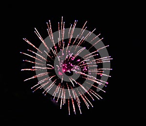 Night sky illuminated by a bright flower