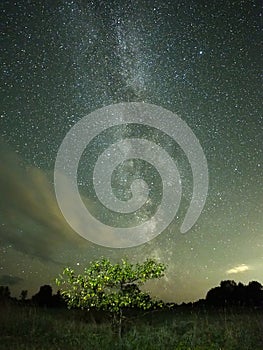 Milky way stars night sky Cygnus constellation observing photo