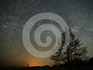 Night sky and milky way stars, meteor Cassiopeia and Cygnus constellation over swamp