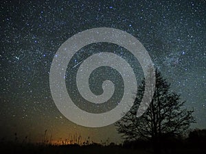 Night sky and milky way stars, meteor Cassiopeia and Cygnus constellation over swamp