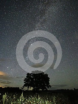 Milky way stars night sky Perseus constellation observing photo